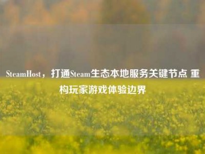 SteamHost，打通Steam生态本地服务关键节点 重构玩家游戏体验边界