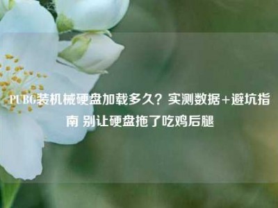 PUBG装机械硬盘加载多久？实测数据+避坑指南 别让硬盘拖了吃鸡后腿