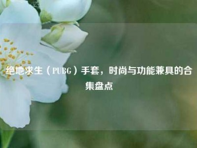 绝地求生（PUBG）手套，时尚与功能兼具的合集盘点