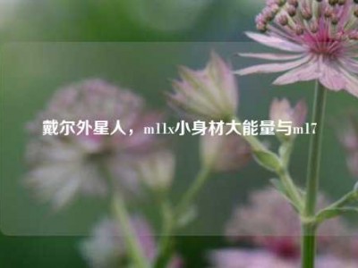 戴尔外星人，m11x小身材大能量与m17