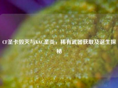 CF圣卡毁灭与KAC圣炎，稀有武器获取及诞生探秘
