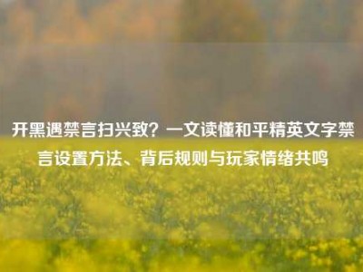 开黑遇禁言扫兴致？一文读懂和平精英文字禁言设置方法、背后规则与玩家情绪共鸣