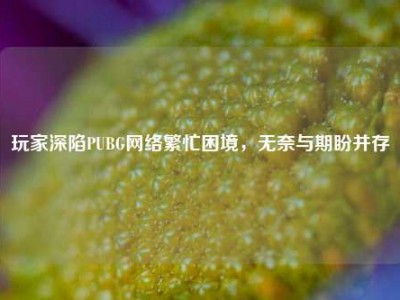 玩家深陷PUBG网络繁忙困境，无奈与期盼并存