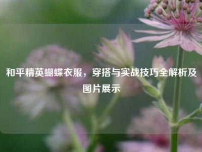 和平精英蝴蝶衣服，穿搭与实战技巧全解析及图片展示