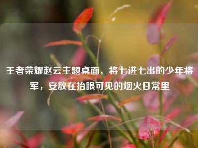 王者荣耀赵云主题桌面，将七进七出的少年将军，安放在抬眼可见的烟火日常里