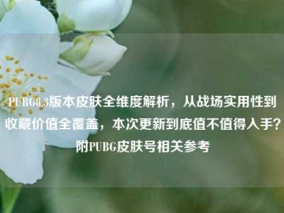 PUBG8.3版本皮肤全维度解析，从战场实用性到收藏价值全覆盖，本次更新到底值不值得入手？附PUBG皮肤号相关参考