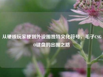 从硬核玩家梗到外设圈独特文化符号，毛子CSGO键盘的出圈之路