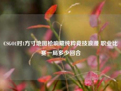 CSGO1对1方寸地图枪响藏纯粹竞技浪漫 职业比赛一局多少回合