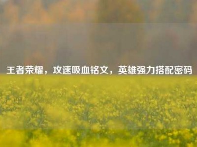 王者荣耀，攻速吸血铭文，英雄强力搭配密码