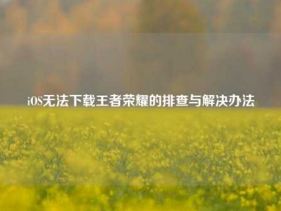 iOS无法下载王者荣耀的排查与解决办法