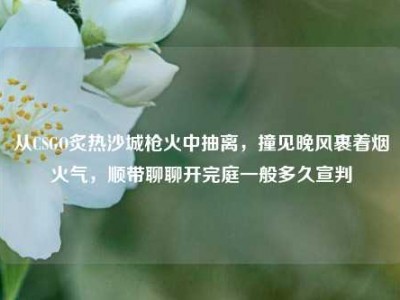 从CSGO炙热沙城枪火中抽离，撞见晚风裹着烟火气，顺带聊聊开完庭一般多久宣判