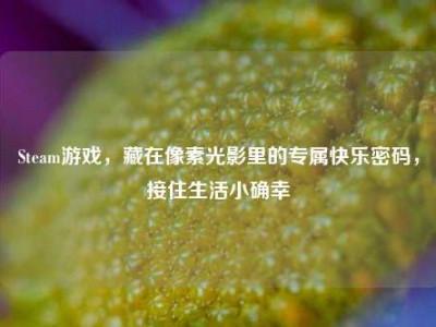 Steam游戏，藏在像素光影里的专属快乐密码，接住生活小确幸