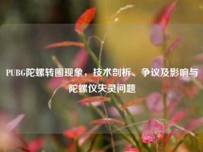 PUBG陀螺转圈现象，技术剖析、争议及影响与陀螺仪失灵问题