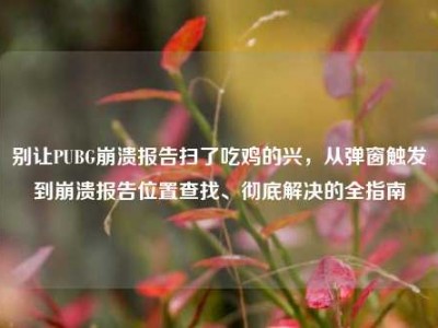 别让PUBG崩溃报告扫了吃鸡的兴，从弹窗触发到崩溃报告位置查找、彻底解决的全指南