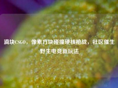 滴块CSGO，像素方块碰撞硬核枪战，社区催生野生电竞新玩法