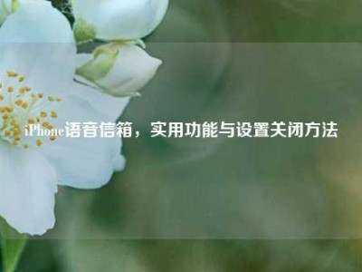 iPhone语音信箱，实用功能与设置关闭方法