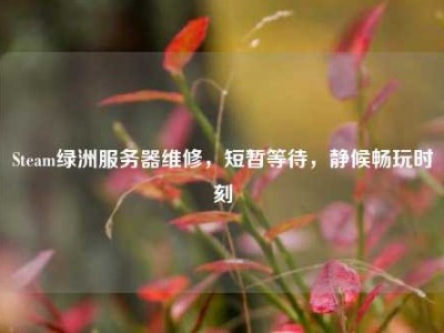 Steam绿洲服务器维修，短暂等待，静候畅玩时刻