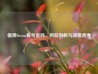 借用Steam账号密码，风险剖析与深度思考