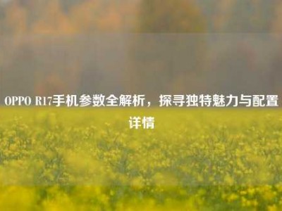 OPPO R17手机参数全解析，探寻独特魅力与配置详情