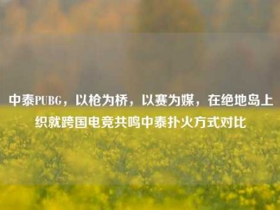 中泰PUBG，以枪为桥，以赛为媒，在绝地岛上织就跨国电竞共鸣中泰扑火方式对比