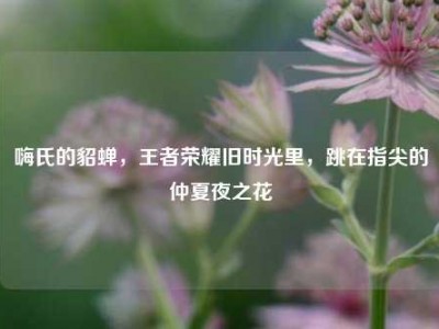 嗨氏的貂蝉，王者荣耀旧时光里，跳在指尖的仲夏夜之花
