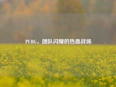 PUBG，团队闪耀的热血战场