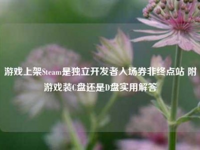 游戏上架Steam是独立开发者入场券非终点站 附游戏装C盘还是D盘实用解答