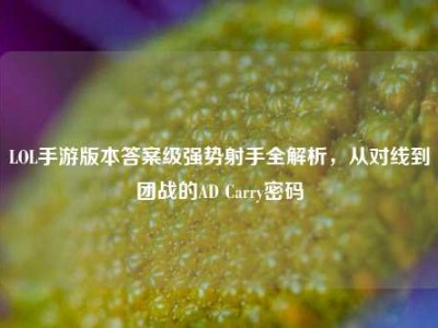 LOL手游版本答案级强势射手全解析，从对线到团战的AD Carry密码