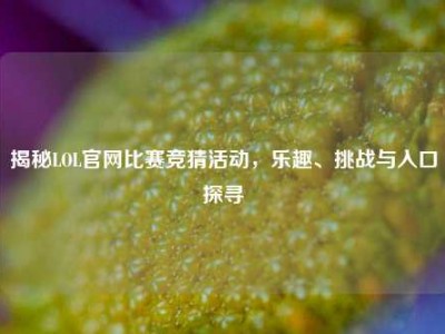 揭秘LOL官网比赛竞猜活动，乐趣、挑战与入口探寻