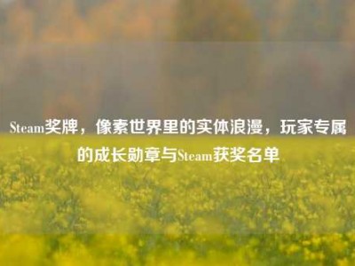 Steam奖牌，像素世界里的实体浪漫，玩家专属的成长勋章与Steam获奖名单
