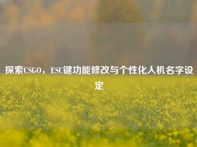 探索CSGO，ESC键功能修改与个性化人机名字设定