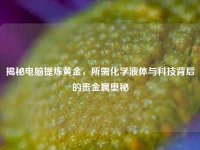 揭秘电脑提炼黄金，所需化学液体与科技背后的贵金属奥秘