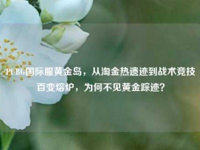 PUBG国际服黄金岛，从淘金热遗迹到战术竞技百变熔炉，为何不见黄金踪迹？