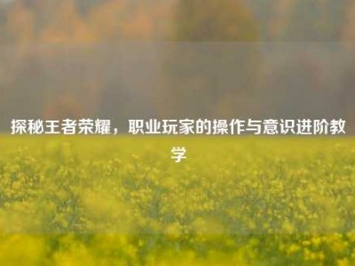 探秘王者荣耀，职业玩家的操作与意识进阶教学