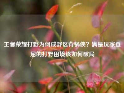 王者荣耀打野为何成野区背锅侠？满是玩家委屈的打野困境该如何破局