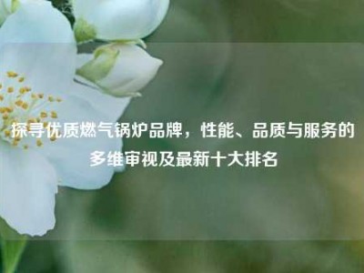 探寻优质燃气锅炉品牌，性能、品质与服务的多维审视及最新十大排名