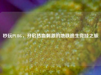 秒玩PUBG，开启热血刺激的地铁逃生竞技之旅