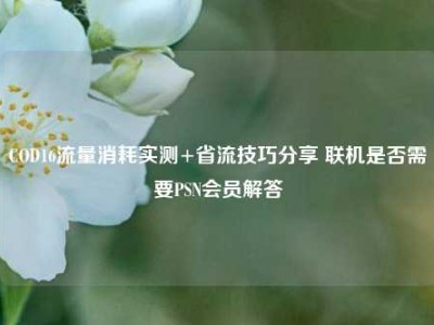 COD16流量消耗实测+省流技巧分享 联机是否需要PSN会员解答