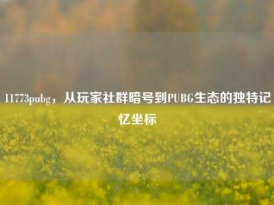 11773pubg，从玩家社群暗号到PUBG生态的独特记忆坐标