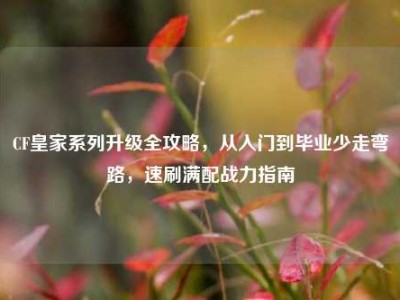 CF皇家系列升级全攻略，从入门到毕业少走弯路，速刷满配战力指南