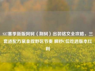 S37赛季新版阿轲（荆轲）出装铭文全攻略，三套适配方案拿捏野区节奏 瞬秒C位吃透版本红利