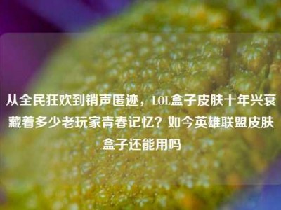从全民狂欢到销声匿迹，LOL盒子皮肤十年兴衰藏着多少老玩家青春记忆？如今英雄联盟皮肤盒子还能用吗
