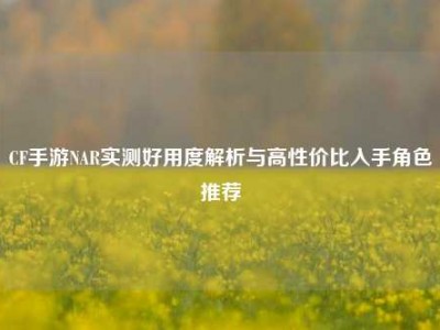 CF手游NAR实测好用度解析与高性价比入手角色推荐