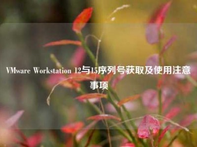 VMware Workstation 12与15序列号获取及使用注意事项