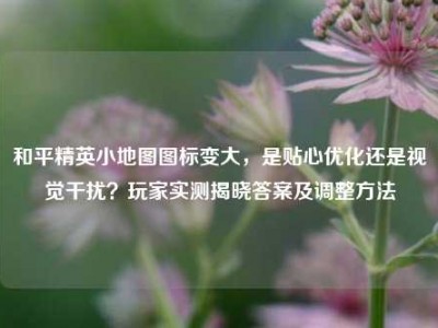 和平精英小地图图标变大，是贴心优化还是视觉干扰？玩家实测揭晓答案及调整方法