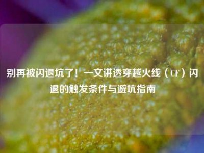 别再被闪退坑了！一文讲透穿越火线（CF）闪退的触发条件与避坑指南