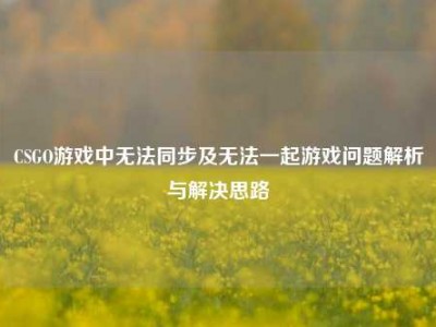 CSGO游戏中无法同步及无法一起游戏问题解析与解决思路
