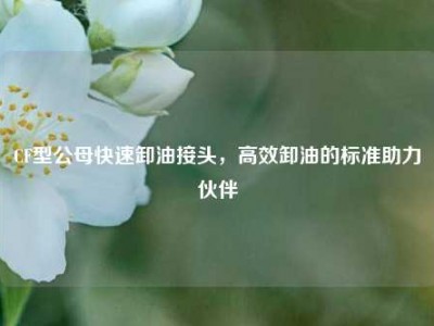 CF型公母快速卸油接头，高效卸油的标准助力伙伴