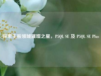 探索主板领域璀璨之星，P5QL SE 及 P5QL SE Plus