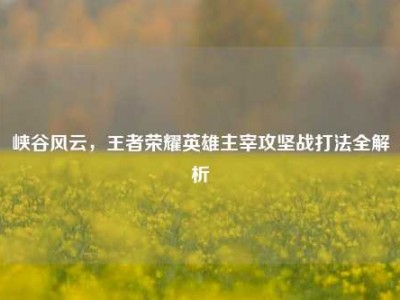 峡谷风云，王者荣耀英雄主宰攻坚战打法全解析